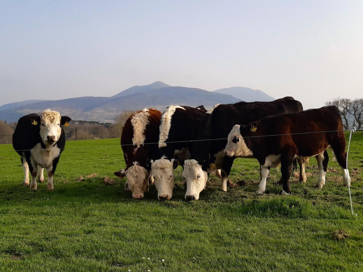 Inveraray Farm 波弗特 外观 照片