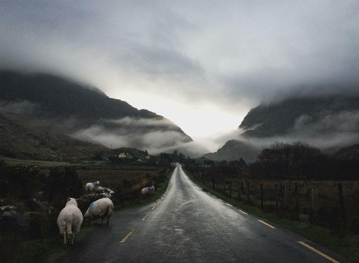 Inveraray Farm 波弗特 外观 照片
