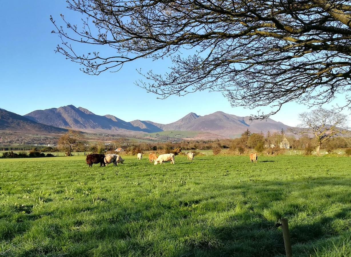 Inveraray Farm 波弗特 外观 照片